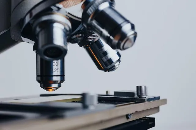 Czym zajmuje się branża life science?